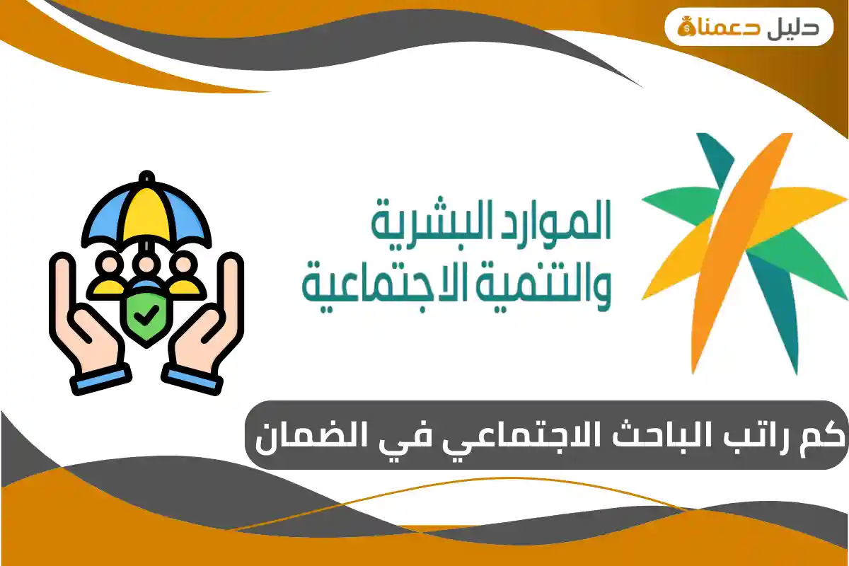 كم راتب الباحث الاجتماعي في الضمان