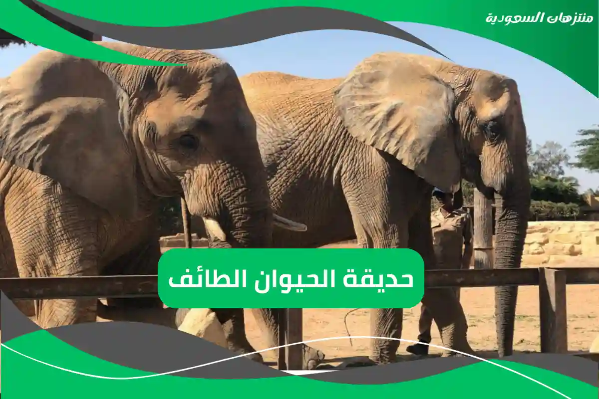 حديقة الحيوان الطائف